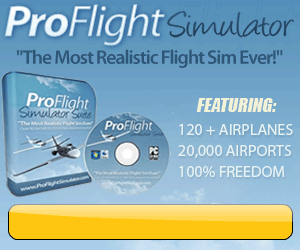  3d Flight Simulator